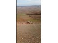 Une ferme a (Ben Slimane) - miniature 4