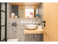 classy-apartment-32-small-14