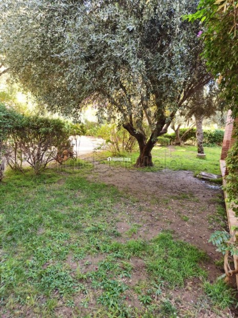 Bel appartement rez de jardin en location à Ennakhil Palmeraie - Location Immobilier - Marrakech - photo 3