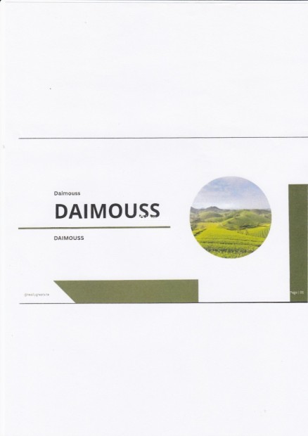 5 parcelles agricoles titrées Daimouss/Tanger - Vente Immobilier - Tanger - photo 1