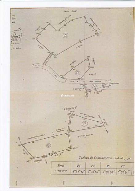 5 parcelles agricoles titrées Daimouss/Tanger - Vente Immobilier - Tanger - photo 2