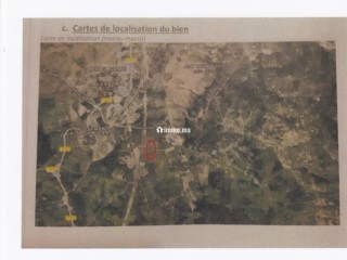 5 parcelles agricoles titrées Daimouss/Tanger - Terrain à vendre - Tanger