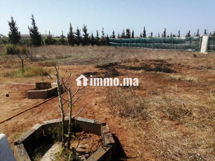 Vendre terrain 1400m a skhirat - Vente Immobilier - Temara - photo 2