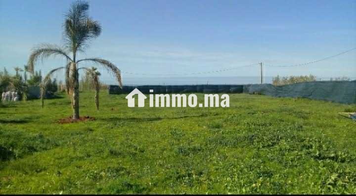 À vendre terrain 2500m² titrée à skhirat - Vente Immobilier - Temara - photo 1