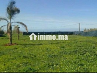 À vendre terrain 2500m² titrée à skhirat - Terrain à vendre - Temara