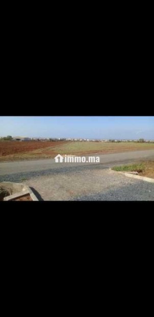 Vendre terrain 5000m² titrée à skhirat - Vente Immobilier - Temara - photo 2