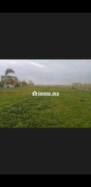 Vendre terrain 5000m² titrée à skhirat - Vente Immobilier - Temara - photo 3