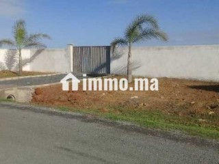 Vendre terrain 5000m² titrée à skhirat - Terrain à vendre - Temara