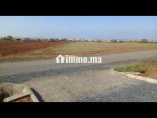 Vendre terrain 5000m² titrée à skhirat - Terrain à vendre - Temara