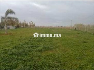 Vendre terrain 5000m² titrée à skhirat - Terrain à vendre - Temara