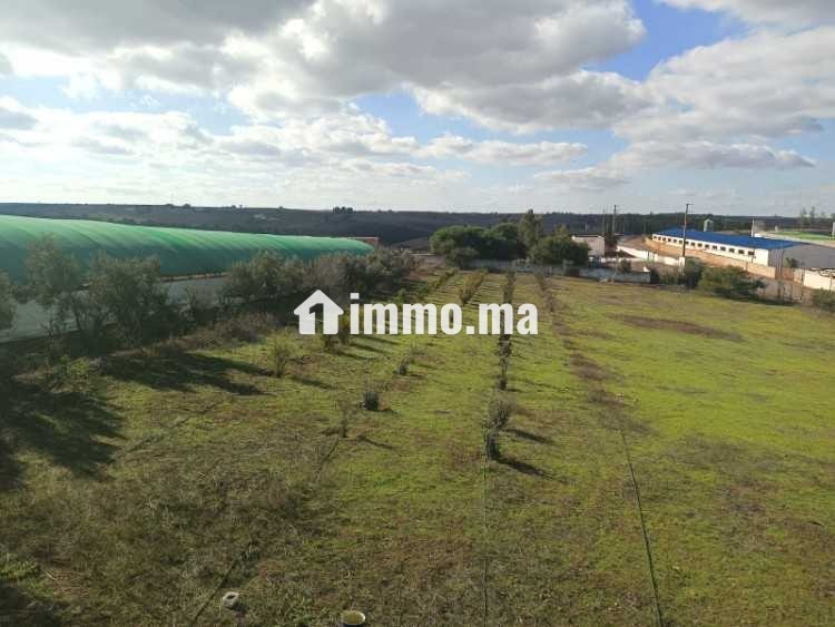 Ferme à vendre à sidi Yahya zaer - Vente Immobilier - Temara - photo 1