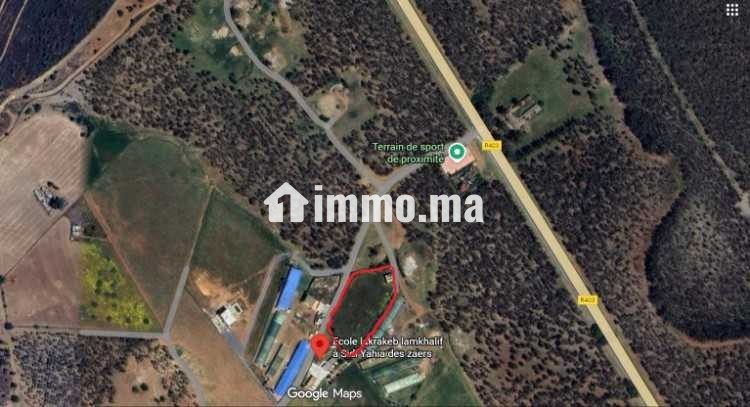 Ferme à vendre à sidi Yahya zaer - Vente Immobilier - Temara - photo 7
