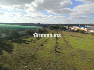 Ferme à vendre à sidi Yahya zaer - Terrain à vendre - Temara