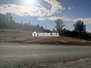Ferme à vendre à sidi Yahya zaer - Terrain à vendre - Temara
