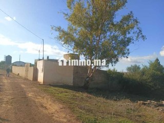 Ferme à vendre à sidi Yahya zaer - Terrain à vendre - Temara