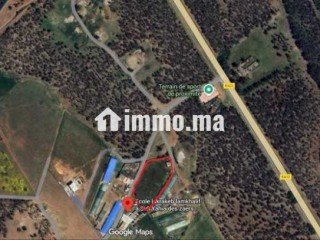 Ferme à vendre à sidi Yahya zaer - Terrain à vendre - Temara