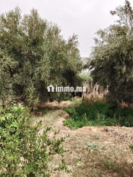Terrain de 2500 mXm Melkiya Sidj Rjggat - Vente Immobilier - Marrakech - photo 1