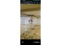 Magasin commercial - miniature 5
