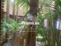 Villa de luxe a vendre a la palmeraie - miniature 8