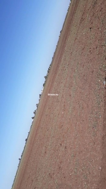 أرض فلاحية نواحي برشيد - Vente Immobilier - Berrechid - photo 2