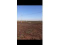 أرض فلاحية نواحي برشيد - miniature 1