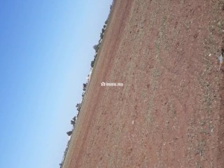 أرض فلاحية نواحي برشيد - Terrain à vendre - Berrechid