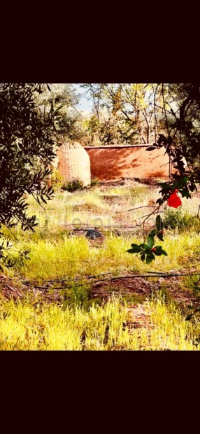 À Vendre – Ferme de 9.000 m² à Ourika Marrakech - Vente Immobilier - Marrakech - photo 2