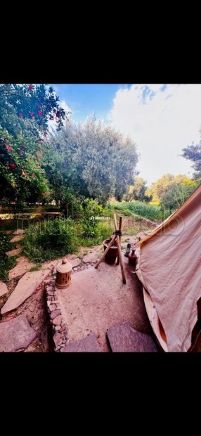 À Vendre – Ferme de 9.000 m² à Ourika Marrakech - Vente Immobilier - Marrakech - photo 5