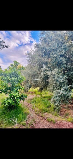 À Vendre – Ferme de 9.000 m² à Ourika Marrakech - Vente Immobilier - Marrakech - photo 6