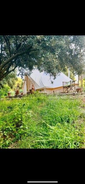 À Vendre – Ferme de 9.000 m² à Ourika Marrakech - Vente Immobilier - Marrakech - photo 7