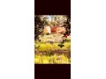À Vendre – Ferme de 9.000 m² à Ourika Marrakech - miniature 2