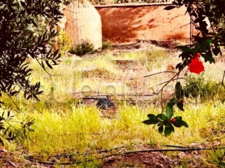 À Vendre – Ferme de 9.000 m² à Ourika Marrakech - Terrain à vendre - Marrakech
