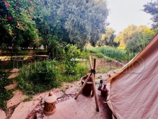 À Vendre – Ferme de 9.000 m² à Ourika Marrakech - Terrain à vendre - Marrakech