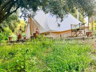 À Vendre – Ferme de 9.000 m² à Ourika Marrakech - Terrain à vendre - Marrakech