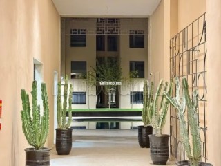 Appartement à louer à Guéliz. 3 pièces. Bien meublé - Appartement à louer - Marrakech