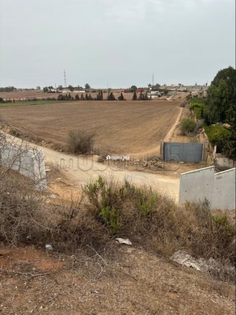 Terrain titré 1hectare Dar Bouazza - Vente Immobilier - Dar Bouazza - photo 2