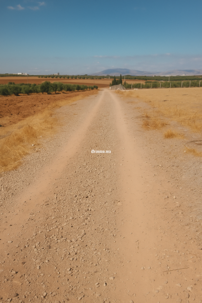 Terres agricoles أرض فلاحية - Vente Immobilier - Fes - photo 2