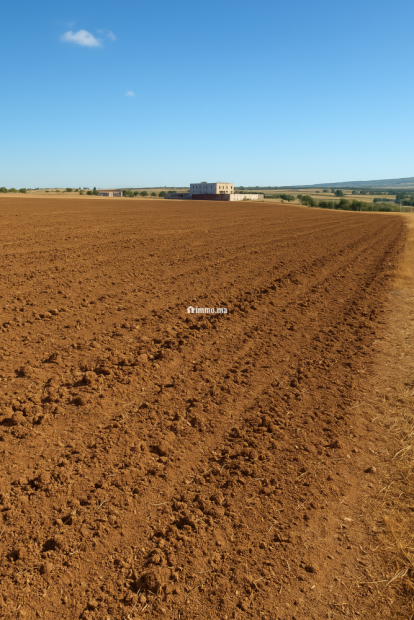 Terres agricoles أرض فلاحية - Vente Immobilier - Fes - photo 1