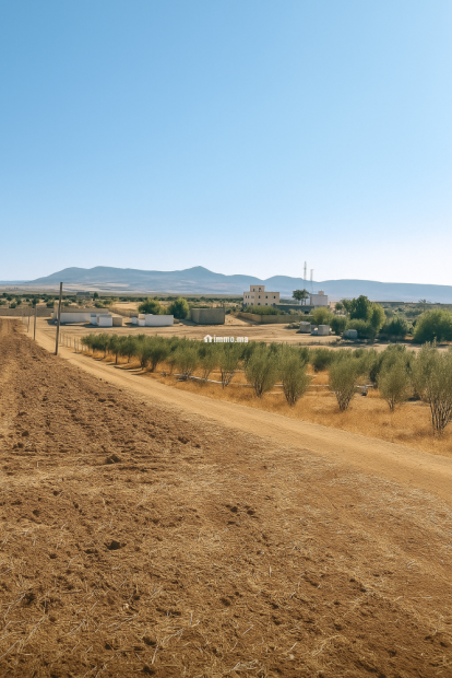 Terres agricoles أرض فلاحية - Vente Immobilier - Fes - photo 3