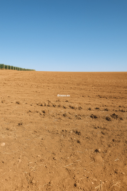 Terres agricoles أرض فلاحية - Vente Immobilier - Fes - photo 4