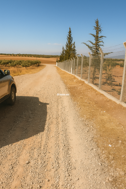 Terres agricoles أرض فلاحية - Vente Immobilier - Fes - photo 5