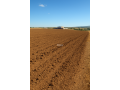 Terres agricoles أرض فلاحية - miniature 1