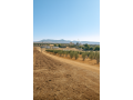 Terres agricoles أرض فلاحية - miniature 3