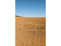 Terres agricoles أرض فلاحية - miniature 4