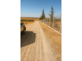 Terres agricoles أرض فلاحية - miniature 5