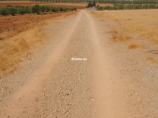 Terres agricoles أرض فلاحية - Terrain à vendre - Fes