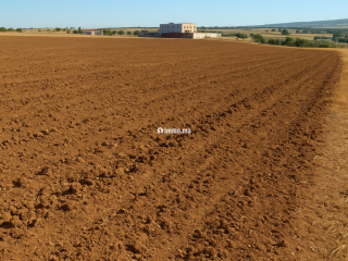 Terres agricoles أرض فلاحية - Terrain à vendre - Fes