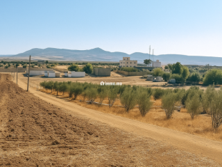 Terres agricoles أرض فلاحية - Terrain à vendre - Fes