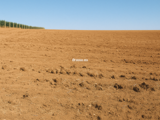 Terres agricoles أرض فلاحية - Terrain à vendre - Fes