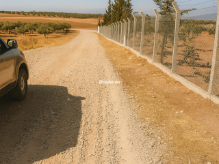 Terres agricoles أرض فلاحية - Terrain à vendre - Fes